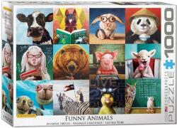EUROGRAPHICS 1000 db-os puzzle - Funny Animals, Lucia Heffernan (6000-5524) (6000-5524)