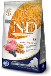 N&D Low Grain Puppy Medium Maxi Lamb & Blueberries 2x12 kg