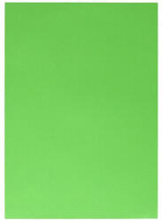 Spirit Spirit: Világos zöld színű dekorációs karton 220g A/4-es méretben 1db (406650) - jatekshop