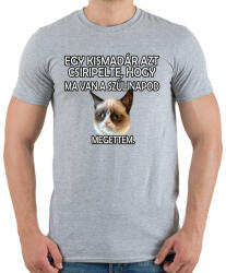 printfashion Szülinapi Grumpy Cat - Férfi póló - Sport szürke (4775896)