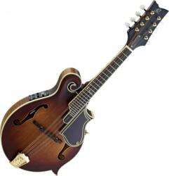 Ortega RMFE100AVO mandolin