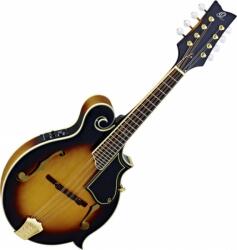Ortega RMFE90TS mandolin