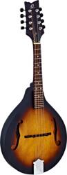 Ortega RMA5VS mandolin