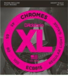 D'Addario ECB81S Basszusgitár húr (ECB81S)