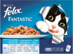 FELIX Fantastic -Selecție de pește - ton, somon, cod și cambulă 12 x 85 g