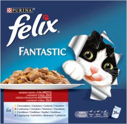 FELIX Fantastic - Selectie de carne: pui, vită, iepure, miel 12 x 85 g
