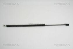 TRISCAN Amortizor portbagaj TRISCAN 8710 38224 (8710 38224) - automobilus