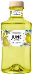 June by G'Vine Pear Gin Likőr - 0, 7L (30%) - bareszkozok