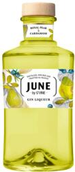 June by G'Vine Pear Gin Likőr - 0, 7L (37, 5%) - bareszkozok