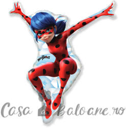 Flexmetal Baloane Folie Figurine Buburuza