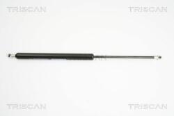 TRISCAN Amortizor portbagaj TRISCAN 8710 29276 (8710 29276) - automobilus
