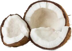 Warrior WPC 80 Lactose Free - Laktózmentes tejsavó protein koncentrátum 1kg Coconut