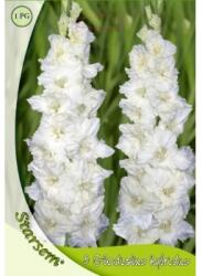 Agrosel Bulbi Gladiole Alb 5