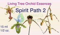 Spirit Path 2 összetett orchidea eszencia