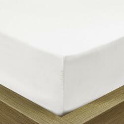 Abotex Pamut Jersey fehér gumis lepedő 160x200 cm - otthonkomfort