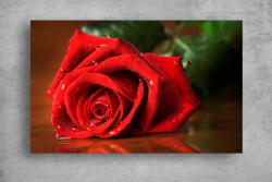 Persona Tablouri Canvas Flori - Trandafiru rosu stropit - tapet-canvas - 70,00 RON