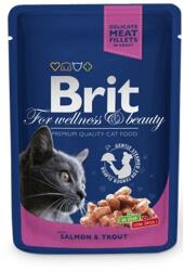 Brit Premium Cat Salmon & Trout la plic 100 g