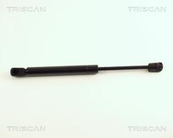 TRISCAN Amortizor portbagaj TRISCAN 8710 29241 (8710 29241) - automobilus