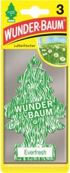 Wunder-Baum Set 3 braduti Everfresh WUNDER BAUM (7612720752942)