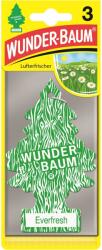 Wunder-Baum Set 3 braduti Everfresh WUNDER BAUM