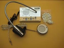 Castone CDMINT-10