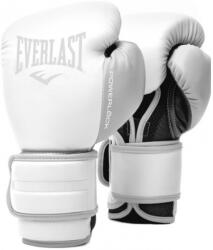 Everlast Manusi box PU Everlast Powerlock 2R (183236)