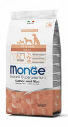 Gemon Monge All Breeds Adult Salmon and Rice száraz kutyatáp 2x12kg