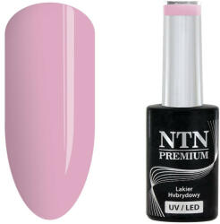 NTN Premium UV/LED 148#