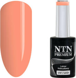 NTN Premium UV/LED 152#