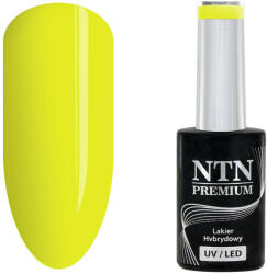 NTN Premium UV/LED 147#