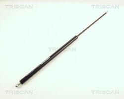 TRISCAN Amortizor portbagaj TRISCAN 8710 29234 (8710 29234) - automobilus