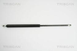 TRISCAN Amortizor portbagaj TRISCAN 8710 38225 (8710 38225) - automobilus