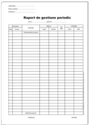  Raport de gestiune periodic