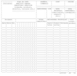  Fisa de cont analitic pentru cheltuieli efective A3