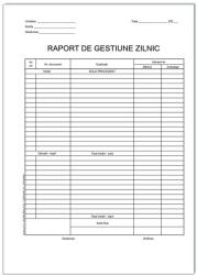 Raport de gestiune zilnic