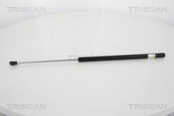 TRISCAN Amortizor portbagaj TRISCAN 8710 18228 (8710 18228) - automobilus