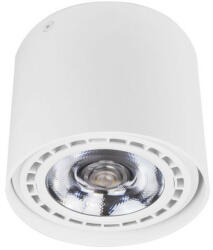 Palnas PALNAS-61003283 LARS Fehér színű Mennyezeti lámpa 1xGU10 20W IP20 (61003283)