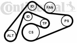 Continental Ctam Set curea transmisie cu caneluri CONTINENTAL CTAM 6PK2404K1 (6PK2404K1) - automobilus