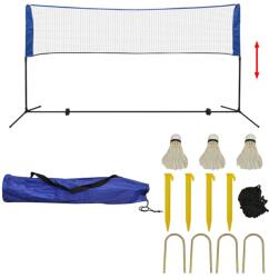 vidaXL Set fileu de badminton, cu fluturași, 300x155 cm (91307) - comfy