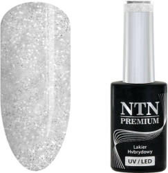 NTN Premium UV/LED 154#
