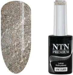 NTN Premium UV/LED Géllakk 169# (HEMA Free)