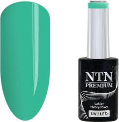 NTN Premium UV/LED 163# (kifutó szín)