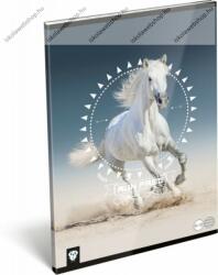 Lovas/Horse A4 kockás füzet (LI_2021_17109)