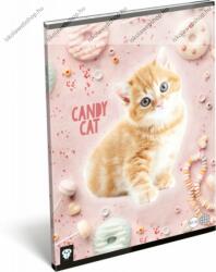  Állatos - Cicás/Candy cat A4 kockás füzet (LI_2021_17106)