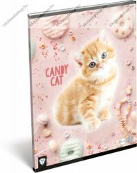Cicás/Candy cat A4 kockás füzet (LI_2021_17106)