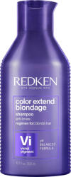 Redken Color Extend Blondage (Color 250 ml a sárga hajtónust semlegesítő hajbalzsam 300 ml