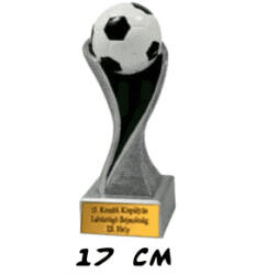 Trófea labdarúgás foci gravírozott táblával 17cm TRSE-4012