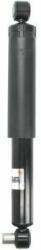 Magnum Technology amortizor Magnum Technology AGR142MT (AGR142MT) - automobilus