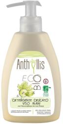 Anthyllis Sapun lichid Anthyllis ECO BIO cu extract de Struguri rosii pentru maini si fata 300 ml