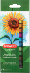 Derwent Creioane pastel DERWENT Academy Blendable Soft, 12 culori/set